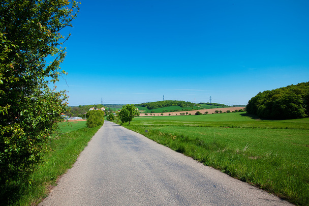 Road and a meadow with trees against the blue sky - Фото, изображение