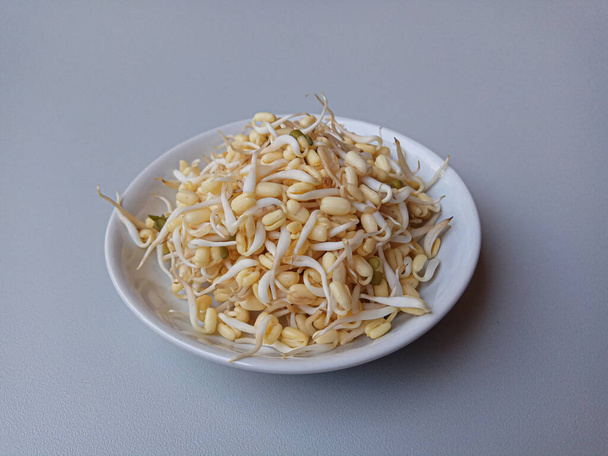 Germes de haricot mungo, à l'intérieur petite assiette blanche - Photo, image