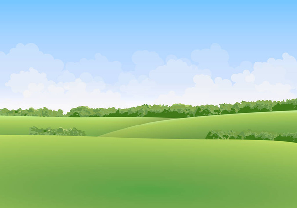 Zelená letní vektorová krajina s loukami a stromy v pozadí s mraky na modré obloze - Vektor, obrázek