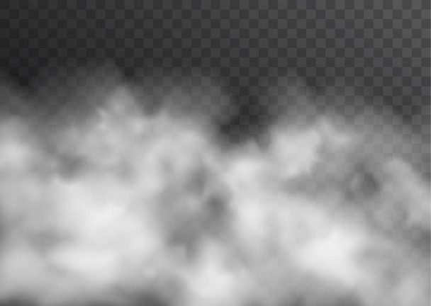 Vektorin realistinen savu, sumu tai sumu läpinäkyvä vaikutus eristetty tummalla pohjalla - Vektori, kuva