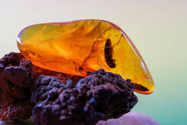 Ambre est faite de résine fossile transparente jaune avec des inclusions d'insectes photographiées en studio - Photo, image