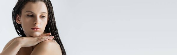 Young brunette woman with braids hairstyle looking away isolated on grey, banner  - Photo, Image