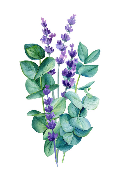 Lavender and eucalyptus isolated on white background. Watercolor Botanical. Floral design. Provence illustration. High quality illustration - Foto, Bild