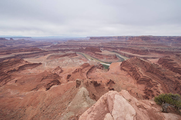 Utah USA nemzeti park kilátással Grand Canyon. - Fotó, kép