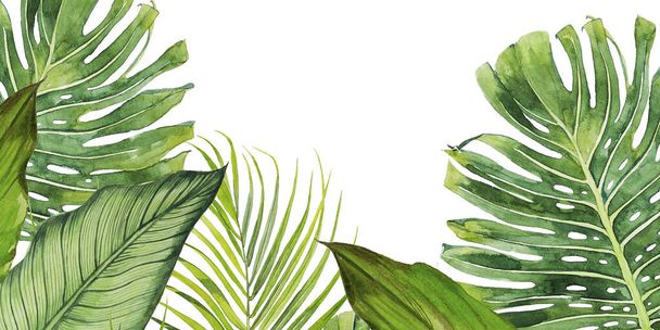 Tropical leaves frame. Watercolor island greenery design isolated on white,Premade wedding or birthday paradise themed background. - Foto, afbeelding