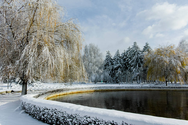 Amazing Winter view of South Park in city of Sofia, Bulgaria - Fotoğraf, Görsel