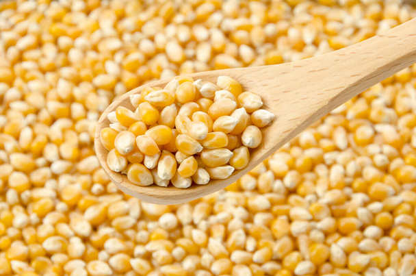 raw popcorn seeds texture background - 写真・画像