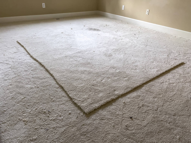 Широкоугольный вид на большую площадь ковра в середине пустой спальни - Фото, изображение
