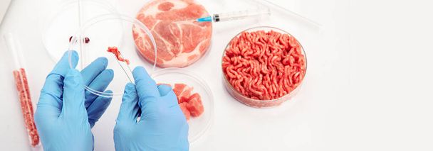Petri dish with cultured meat in laboratory. Concept of clean meat cultured. Panorama, banner, copy space - Photo, Image