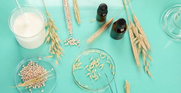Analyzing agricultural wheat grains in laboratory. Wheat genetically modified on color background - Foto, imagen