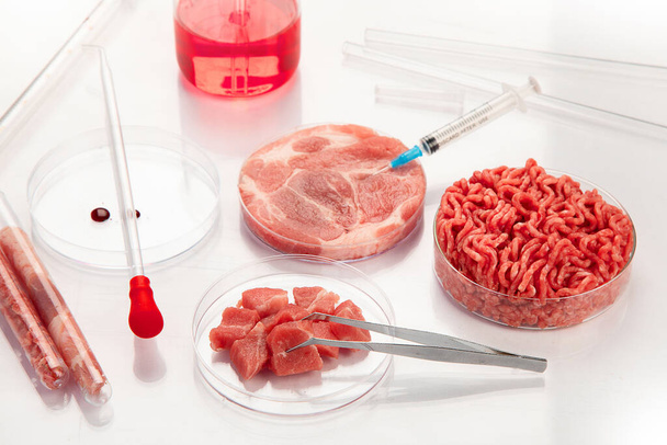 Страву Петрі з культивованим м'ясом у лабораторії. Концепція вирощування чистого м'яса - Фото, зображення