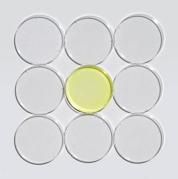 Πολυ υγρό χλωριούχου αργιλίου σε τρυβλίο Petri σε λευκό εργαστηριακό τραπέζι. Χημικό συστατικό για καλλυντικά και προϊόντα Καλλωπισμού. Πάνω όψη - Φωτογραφία, εικόνα