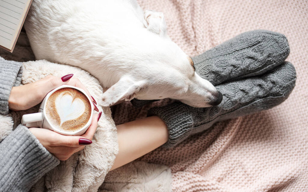 Cozy home, woman covered with warm blanket, drinks coffee,  sleeping dog next to woman. Relax, carefree, comfort lifestyle. - Photo, Image