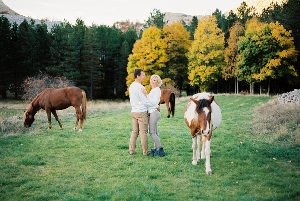 Mann und Frau stehen umarmt auf einer grünen Weide zwischen Pferden. Hochwertiges Foto - Foto, Bild