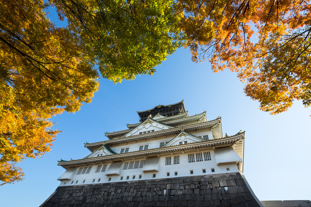 Château d'Osaka
 - Photo, image