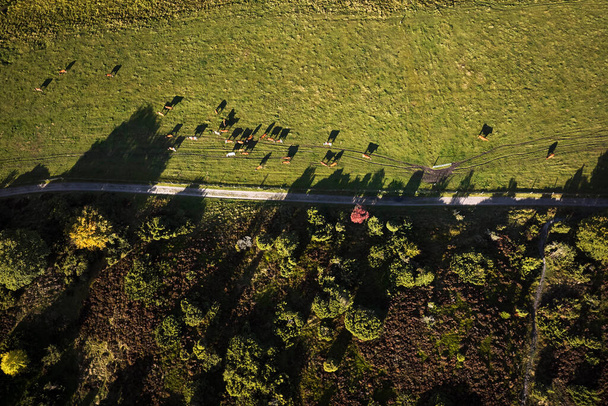 Drone going over Rebild bakker national park in denmark - Φωτογραφία, εικόνα