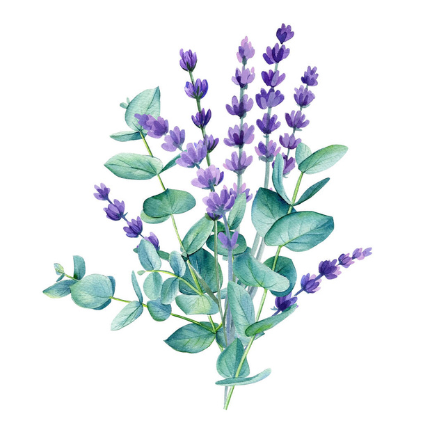 Levandule a eukalyptus. Botanická akvarel. Květinový design. Provence ilustrace. Vysoce kvalitní ilustrace - Fotografie, Obrázek