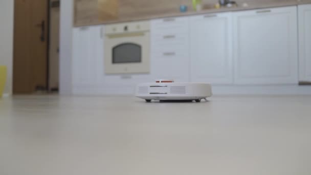 robot vacuum cleaner cleans around the table, smart sensors. High quality 4k footage - Footage, Video