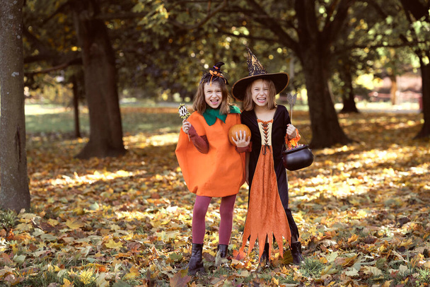 Two caucasian girls in Halloween outfits in the woods - Photo, Image