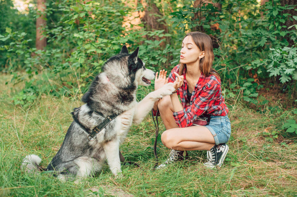 teenage girl playing and having fun with her siberian husky dog. Girl with dog in the forest - Fotó, kép