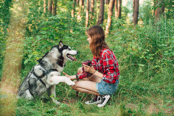 дівчина-підліток грає і розважається зі своїм сестринським хаскі собакою. Дівчина з собакою в лісі
 - Фото, зображення