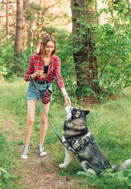 teenage girl playing and having fun with her siberian husky dog. Girl with dog in the forest - Foto, Imagen