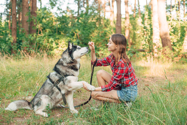 adolescente jugando y divirtiéndose con su perro husky siberiano. Chica con perro en el bosque - Foto, imagen