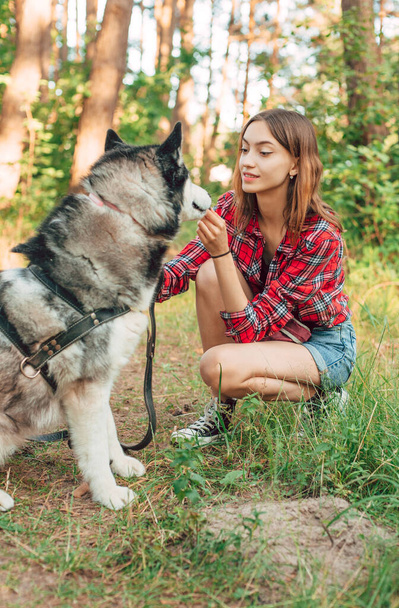 teenage girl playing and having fun with her siberian husky dog. Girl with dog in the forest - Foto, afbeelding