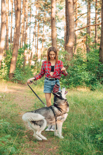 teenage girl playing and having fun with her siberian husky dog. Girl with dog in the forest - Fotografie, Obrázek