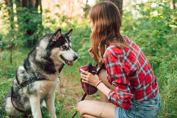 teenage girl playing and having fun with her siberian husky dog. Girl with dog in the forest - Фото, изображение