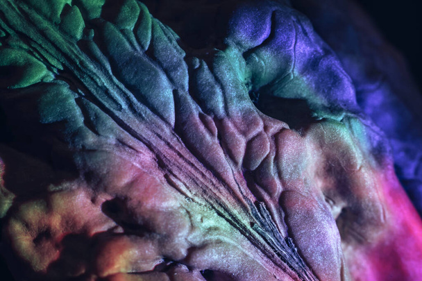 Close-up bela casca de noz extrema em luz multicolor. Textura de fundo para design. Fotografia macro vista. - Foto, Imagem
