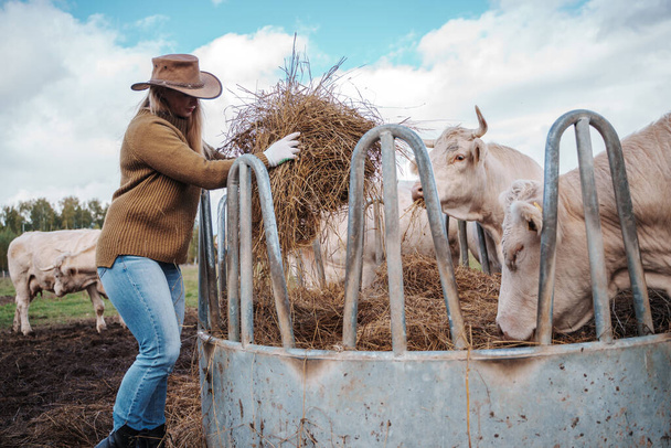 Shot of cowboy woman with hat dressed in sweater working on agricultural field. - Photo, Image