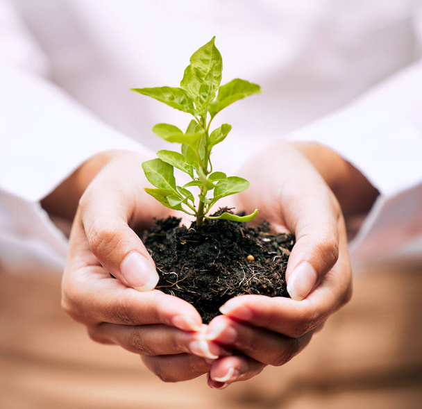 Growth is a beautiful journey. an unrecognizable businessperson holding a plant growing out of soil - Photo, Image