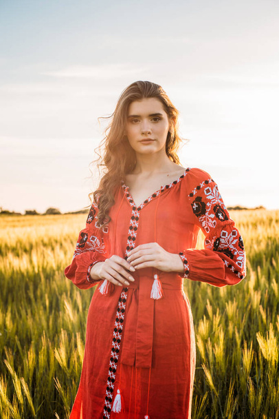 young beautiful woman wearing ukrainian traditional embroidered dress in wheat field during sunset. Stand with Ukraine - Φωτογραφία, εικόνα