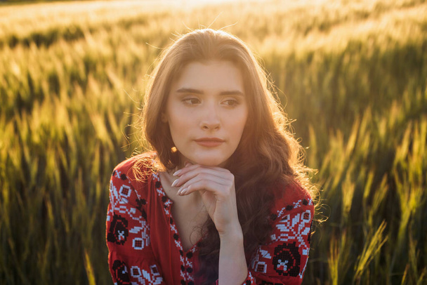 young beautiful woman wearing ukrainian traditional embroidered dress in wheat field during sunset. Stand with Ukraine - Foto, imagen
