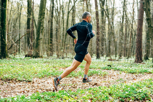 wide shot of sporty man running in beautiful spring forest. Sport and wellness concept - Fotoğraf, Görsel
