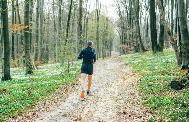 wide shot of sporty man running in beautiful spring forest. Sport and wellness concept - Fotoğraf, Görsel