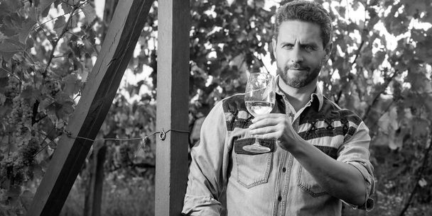 smiling bearded winemaker man hold wineglass at vineyard outdoor, wine-grower. - Photo, Image