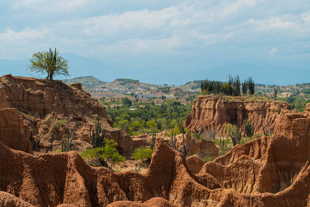 Ландшафт у червоній пустелі з кущами і синім небом. Пустеля Татакао, Уїла (Колумбія).. - Фото, зображення