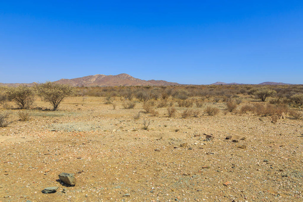 Namibian landscape. African savannah during a hot day.Red ground. Oanob, Namibia. - Valokuva, kuva