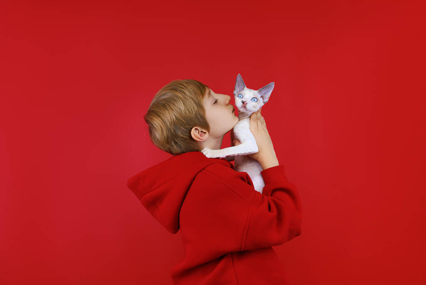 Iloinen poika punaisessa puvussa tulee pienen valkoisen kissan päälle ja suutelee häntä. - Valokuva, kuva