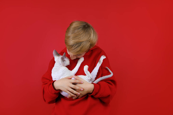 A cheerful boy in a red suit holds a white cat in his arms, he plays with him - Fotografie, Obrázek
