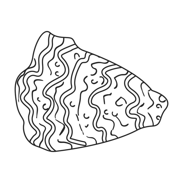 Oyster vector icon.Outline vector logo isolated on white background oyster. - Vektör, Görsel