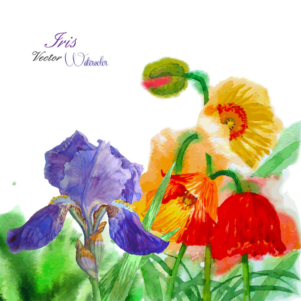 Ακουαρέλα φόντο με παπαρούνας και λουλούδια - Διάνυσμα, εικόνα