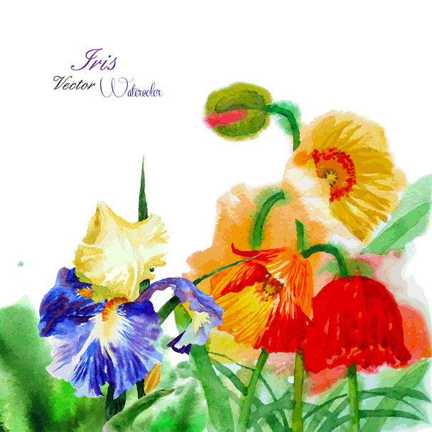 Watercolor background with poppy and flowers - Διάνυσμα, εικόνα