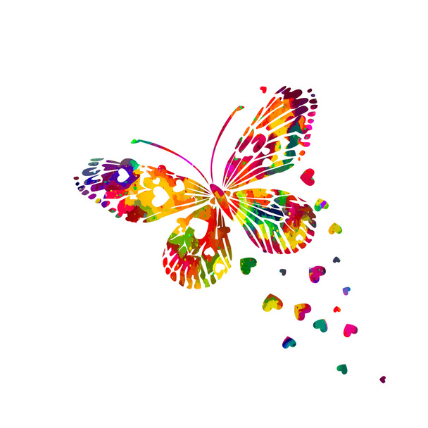 Colorful abstract watercolor butterfly - Vector, Image