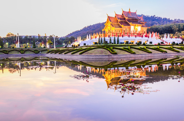 Βασιλικό ναό χλωρίδα (ratchaphreuk) σε Chiang Mai, Ταϊλάνδη - Φωτογραφία, εικόνα