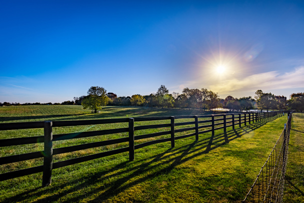 Fences separating pastures of a horse farm in rural Kentucky - Photo, Image