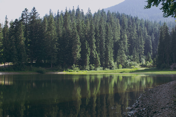 Μια λίμνη στα βουνά με δέντρα - Φωτογραφία, εικόνα