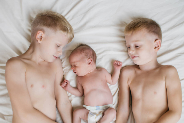 three little cute brothers on the bed with white linen. High quality photo - Photo, Image